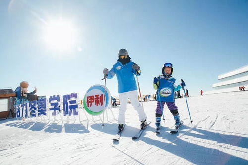 伊利前三季度營收穩(wěn)健增長，液態(tài)乳基本盤穩(wěn)固，多元化布局開拓新增長點